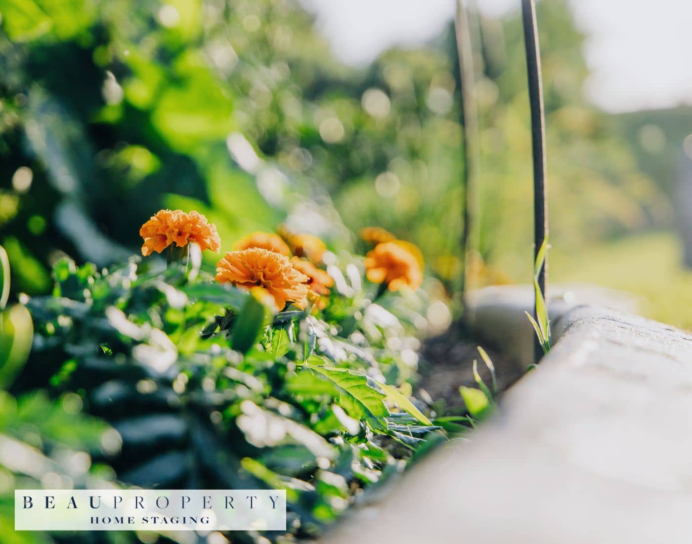 Curb appeal, crucial in real estate, attracts buyers through well-maintained exteriors, making first impressions count for higher interest and property value.